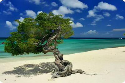 Las 11 mejores playas de Aruba
