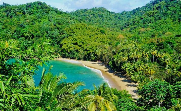 Trinidad e Tobago em fotos: 19 belos lugares para fotografar