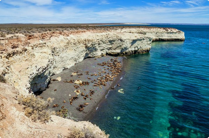 Puerto Madryn e la penisola di Valdés