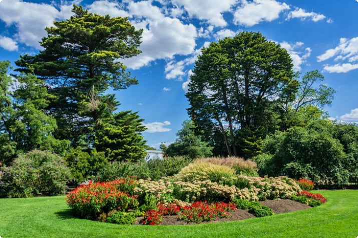 Castlemaine Botanical Gardens