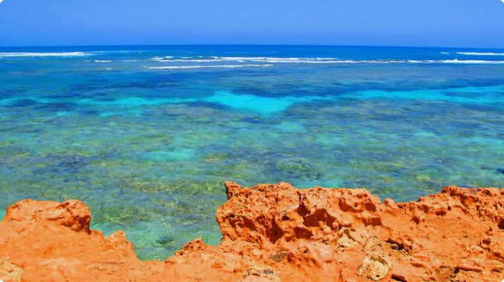 Морской парк рифов Нингалу, Западная Австралия