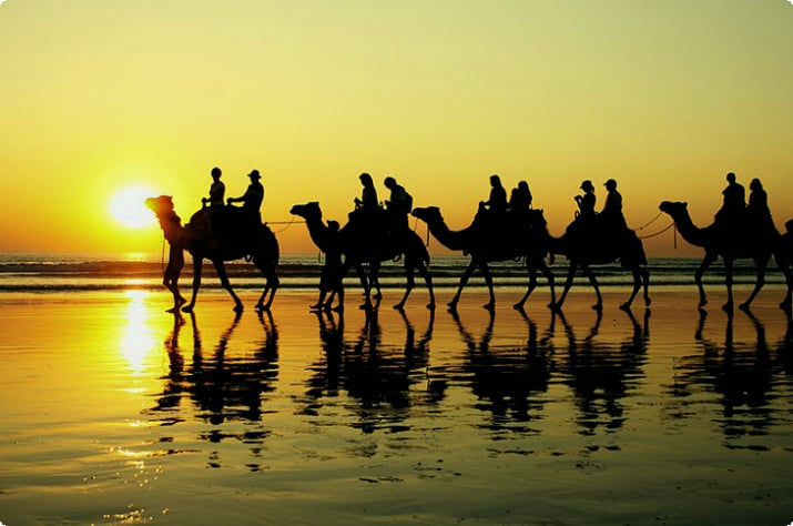 Поездка на верблюде на закате по Кейбл-Бич