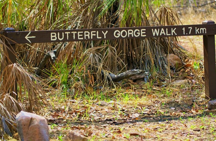 Butterfly Gorge Walk