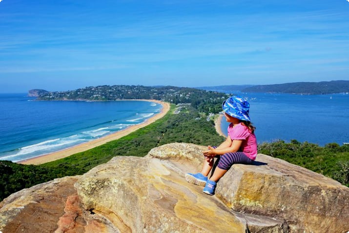 Наслаждаясь видом на Палм-Бич на северных пляжах Сиднея