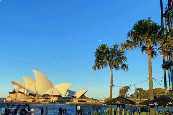 Вид на гавань Сиднея и Оперный театр