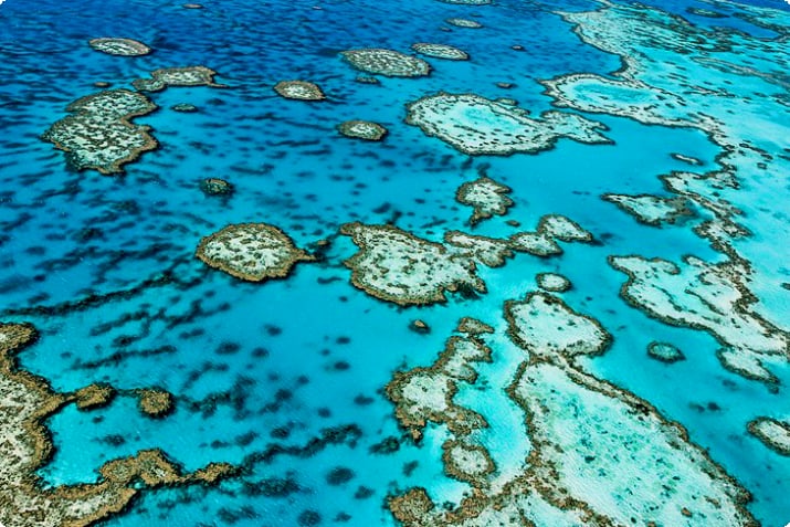 Besuch des Great Barrier Reef: 11 erstklassige Attraktionen und Aktivitäten