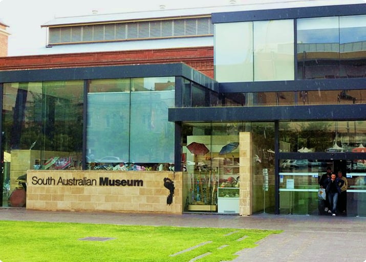 南オーストラリア博物館