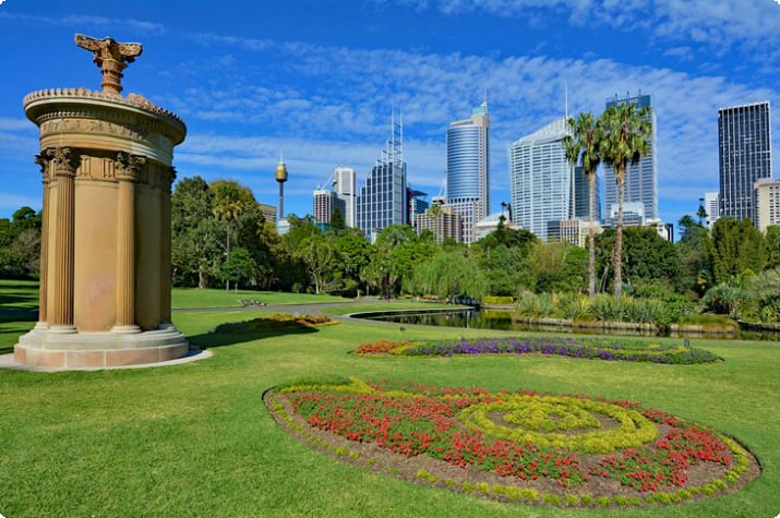 Королевский ботанический сад Сиднея