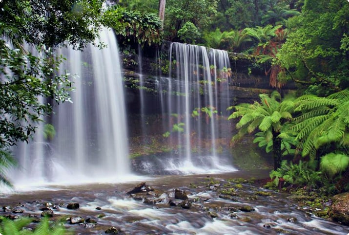 Национальный парк Маунт-Филд