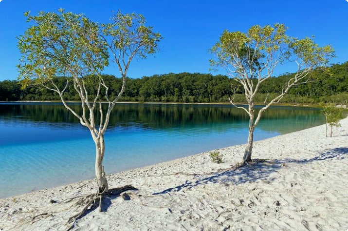 McKenzie-järvi keskellä K'Garia (Fraser Island)