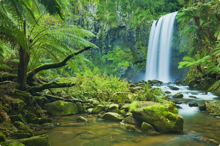 Hopetoun Falls, Park Narodowy Great Otway
