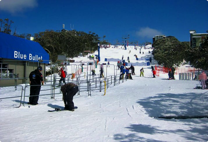 Катание на лыжах на горе Буллер