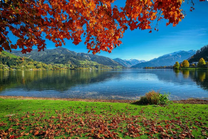 Herbstfarben am Ufer des Zellersees