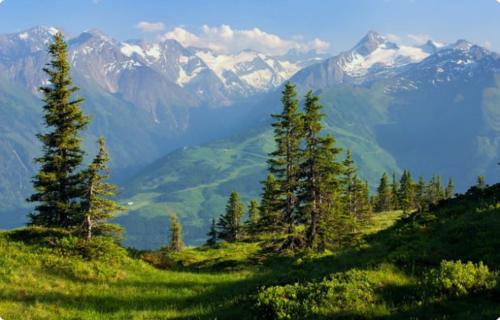 Die Kitzbüheler Alpen: Großer Galtenberg und Salzachgeier