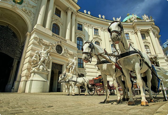 Pferd und Kutsche in Wien