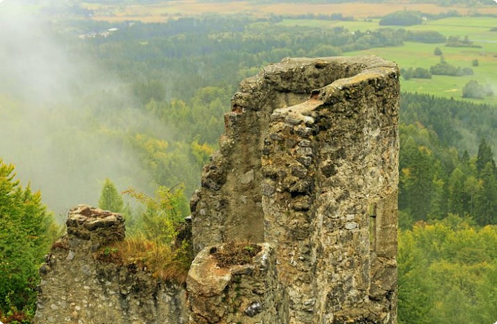 Руины замка Финкенштейн