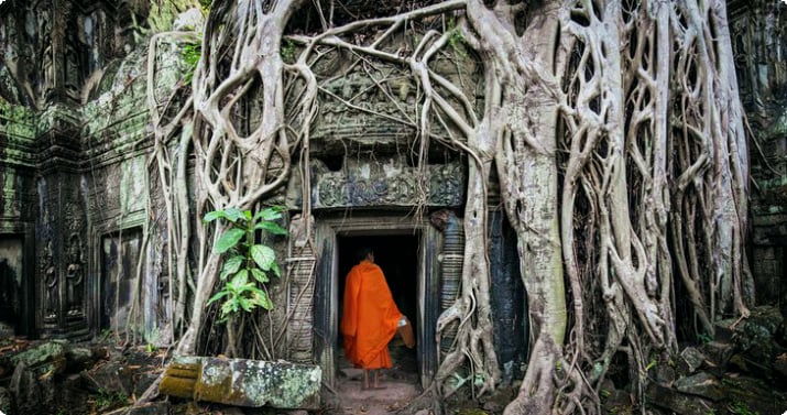En buddhistisk munk ved Ta Prohm-templet, Angkor Wat