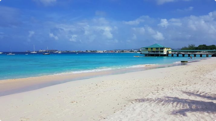 13 лучших пляжей Барбадоса