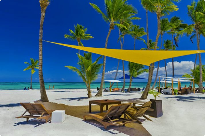 Piękna wysadzana palmami plaża na Barbadosie