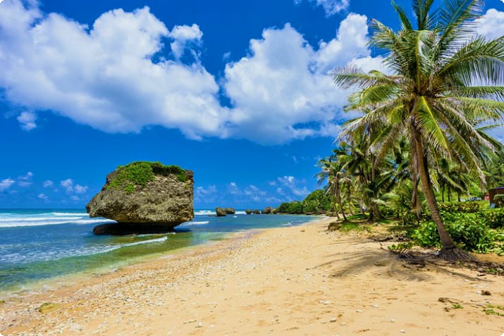Скалы на пляже в Вирсавии, Барбадос