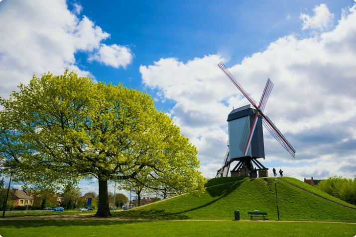 Kruisvest Park windmolen