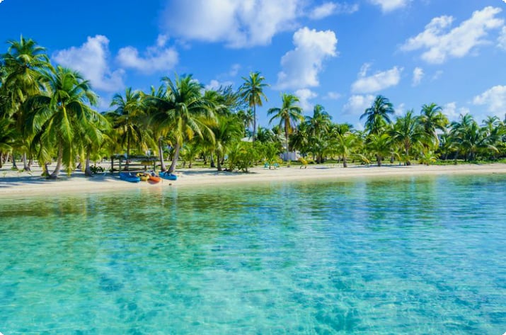 Palmengesäumter Strand in Belize