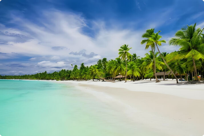 Пляж с пальмами в Пунта-Кане
