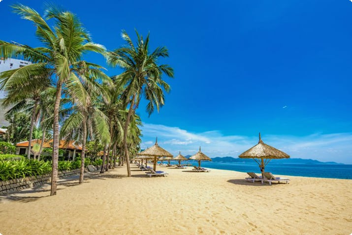 Nha Trang'da palmiyelerle kaplı plaj