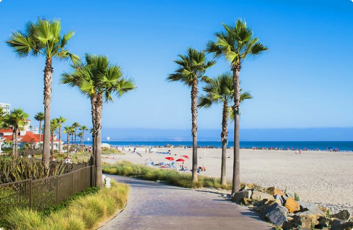 Praia e palmeiras em San Diego, CA
