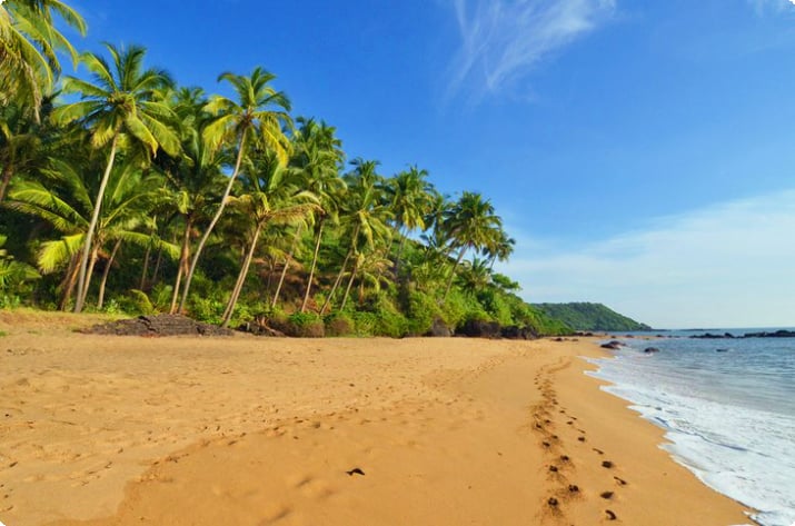 Tropisk strand i Goa, Indien