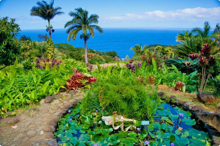 Jardines tropicales en Maui
