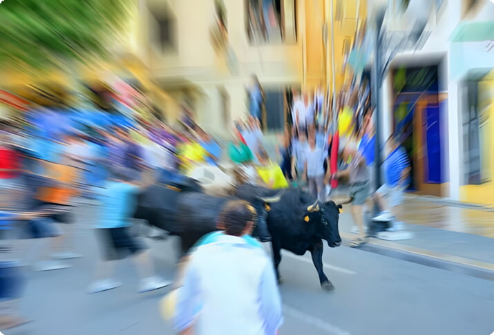 Бег быков в Памплоне