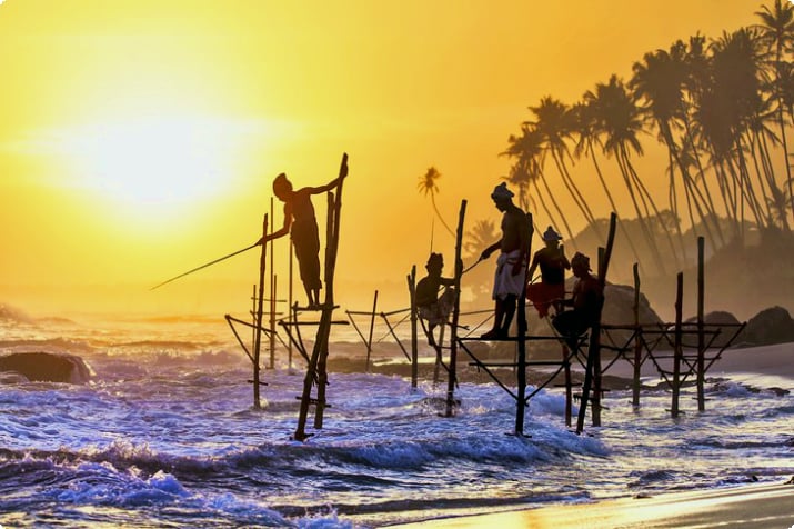 Рыбак на ходулях в Шри-Ланке