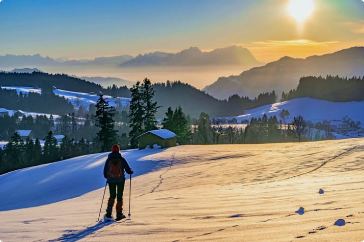 Снегоступы в Брегенцервальде, Австрия