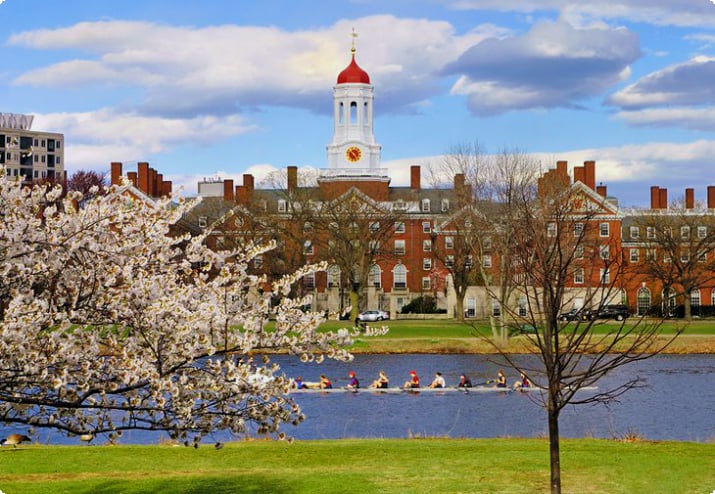 Гарвард весной
