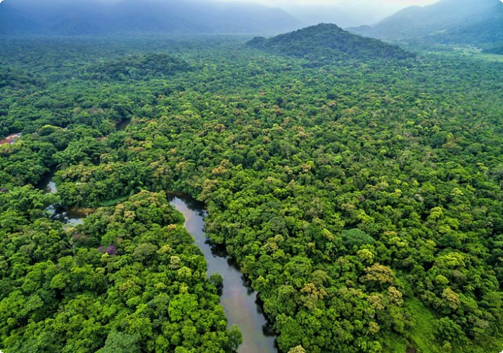 Luchtfoto van het Amazone-regenwoud