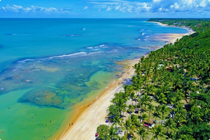 Widok z lotu ptaka na wysadzaną palmami plażę w Trancoso