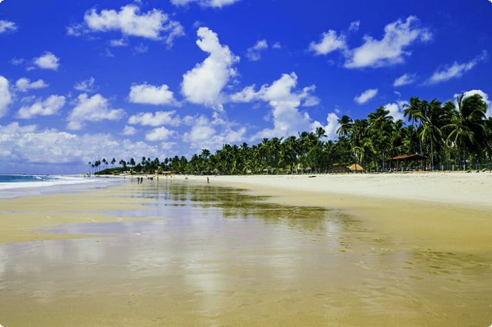 Playas de Pernambuco