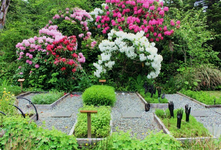 Ботанический сад Тофино