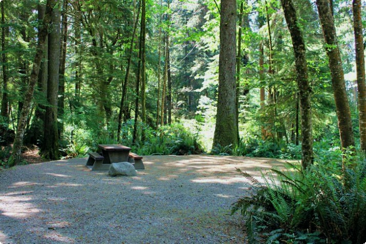 Campsite в провинциальном парке Френч-Бич