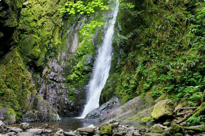 Ниагарский водопад в провинциальном парке Голдстрим