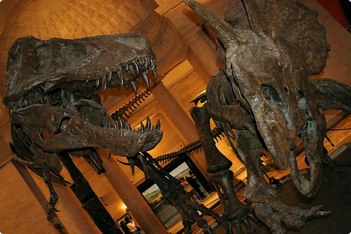 Museu de História Natural