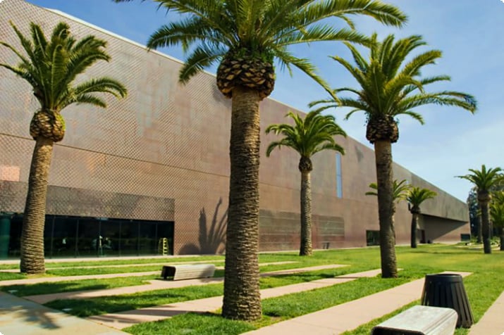 Музей изящных искусств де Янга в Сан-Франциско