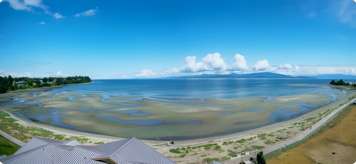 The beach at Parksville Bay