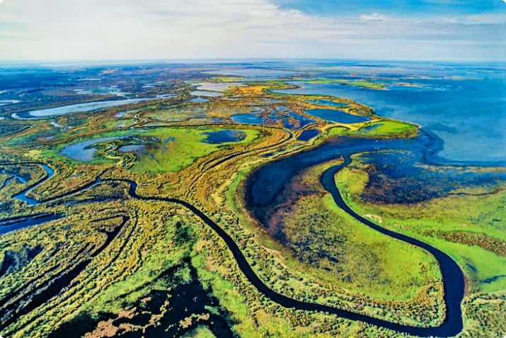 Aerial view of Wood Buffalo National Park