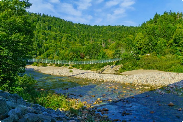 Bron över Big Salmon River längs Fundy Footpath