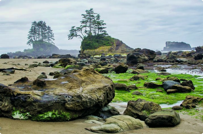 Playa rocosa en el sendero de la costa oeste, isla de Vancouver
