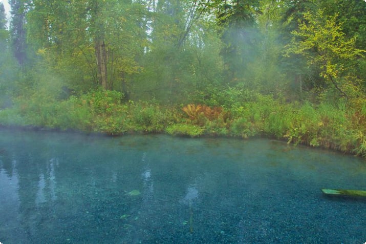 Damp stiger op fra en pool ved Liard River Hot Springs