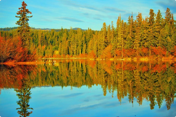 Осенние цвета на озере Макконнелл