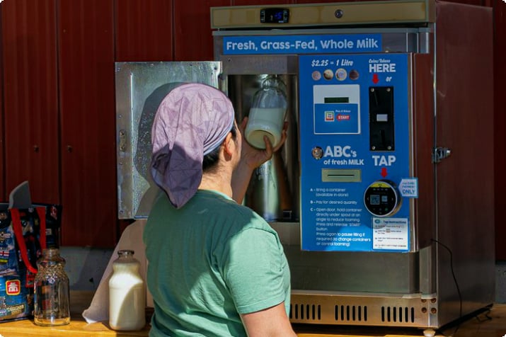Morningstar Farm mjölkautomat